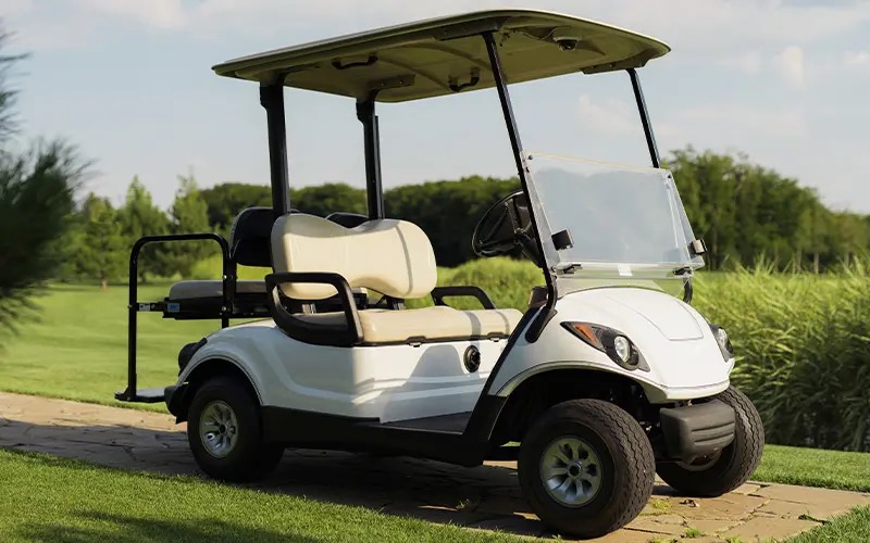 2-Passenger Cart