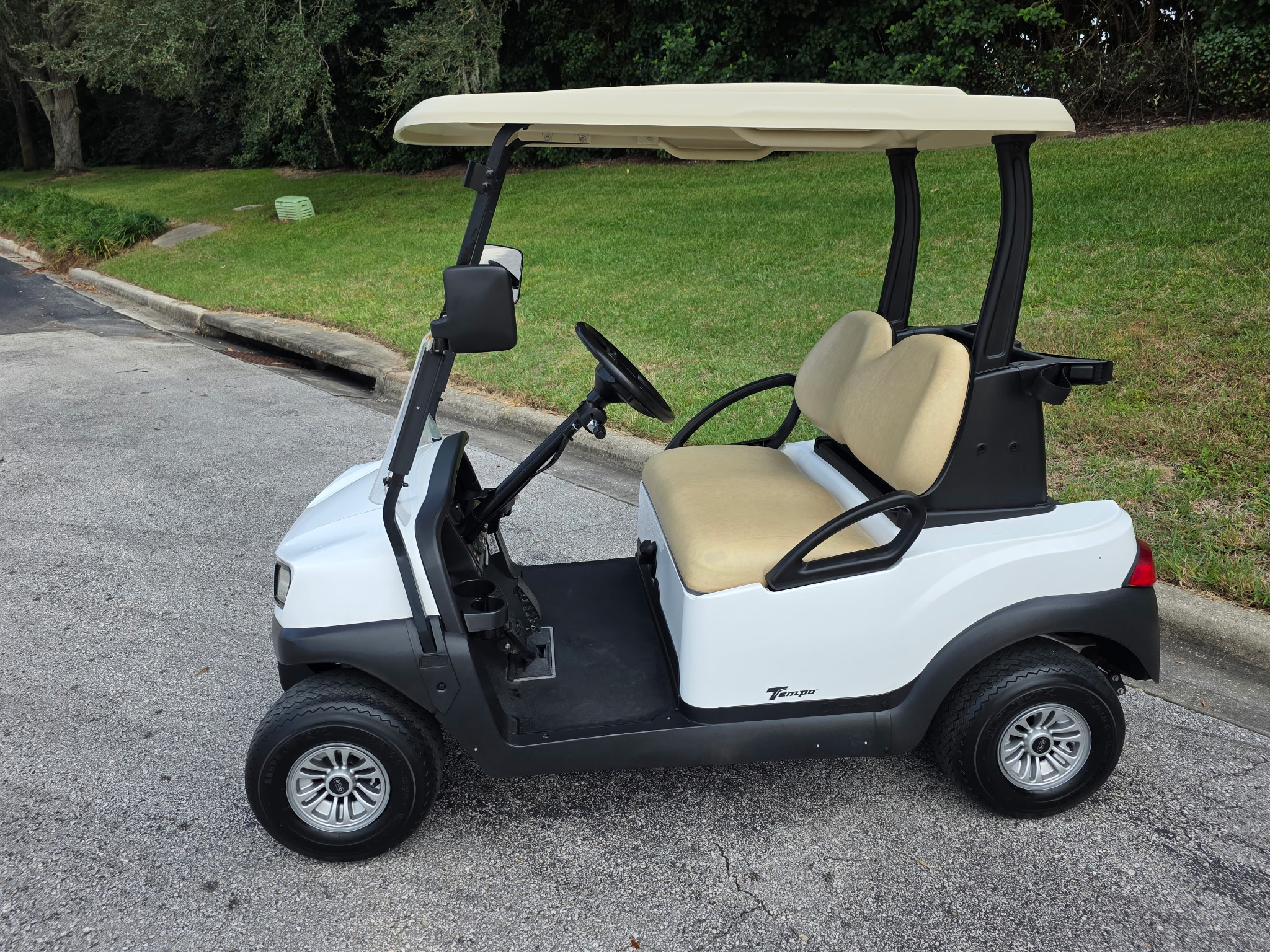2-Passenger Gas Golf Cart Rental - Perfect for Golf Courses and Resorts
